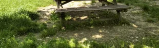 giardino biblioteca