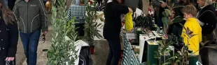 Immagine di PrimOlio