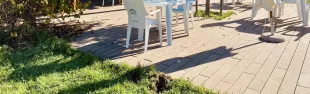 Immagine chiosco di Grassina