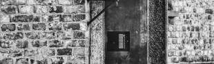 Immagine generica Giorno della Memoria 2