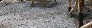 Immagine Parco di Mondeggi