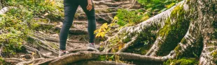 Immagine generica trekking