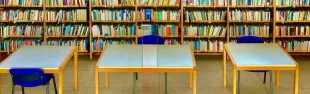 Immagine della Biblioteca comunale 2025
