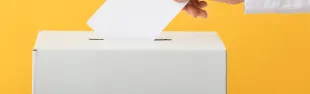 Immagine generica voto