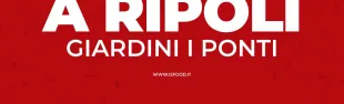Immagine locandina International street food 2025