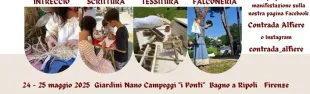 Immagine di locandina Torneo Lega di Ripoli
