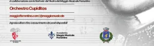 Immagine di locandina The WAM Game