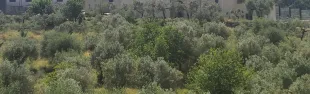 Immagine di San Giorgio a Ruballa