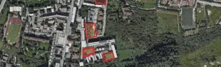 Immagine 2 Rigenera Sorgane