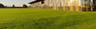 Immagine del Viola Park
