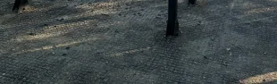 Attrezzatura fitness giardini Antella