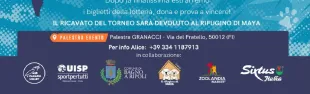 Locandina canarini