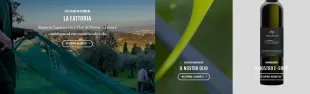 Descrizione immagine non disponibile