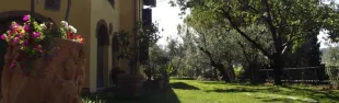 Descrizione immagine non disponibile