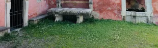 Descrizione immagine non disponibile