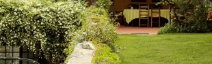 Descrizione immagine non disponibile