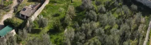 Descrizione immagine non disponibile