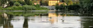 Descrizione immagine non disponibile