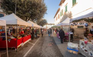 Fiera dell'Antella Mercato