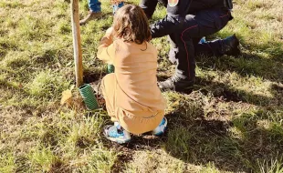 Immagine Giornata dell'Albero 2024