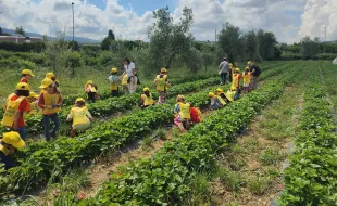 Foto di bambini scuola Rimaggio visita Olivart