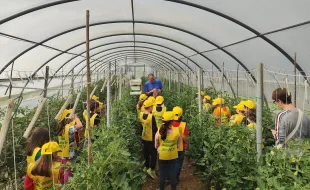 Foto di bambini scuola Rimaggio visita Olivart