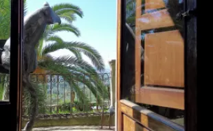 Frame video Case d'Artista a Bagno a Ripoli