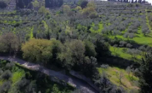 Frame video Case d'Artista a Bagno a Ripoli