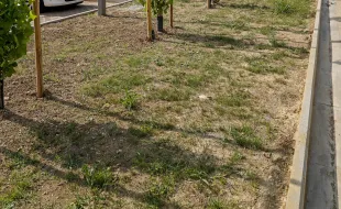 Tramvia inaugurazione scambiatore Pian di Ripoli - Foto di Comune Firenze