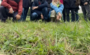 Immagine piantumazione talee alberi monumentali 2025