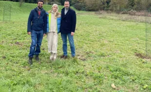 Immagine piantumazione talee alberi monumentali 2025