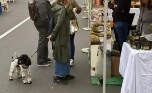 Immagine PrimOlio 2025