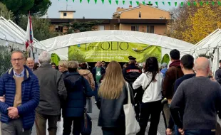 Immagine PrimOlio 2025