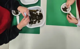 Immagine laboratorio cucina Capannuccia 2025