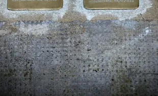 Celebrazioni Giornata della Memoria 2026