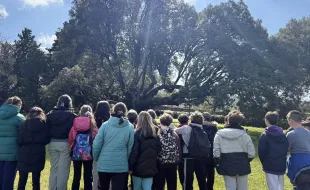 Leccio di Belmonte - visita Michelet 2026