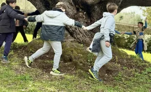 Leccio di Belmonte - visita Michelet 2026