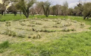 Parco urbano Sorgane inaugurazione 