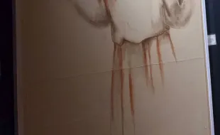 Foto inaugurazione La Regola di Francesco 2026