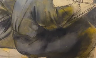 Foto inaugurazione La Regola di Francesco 2026