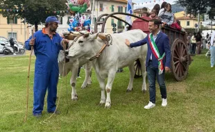 Fiera Antella
