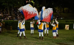 Palio 2026