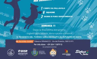 Locandina canarini