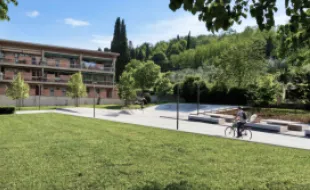 Rigenera Sorgane 2026