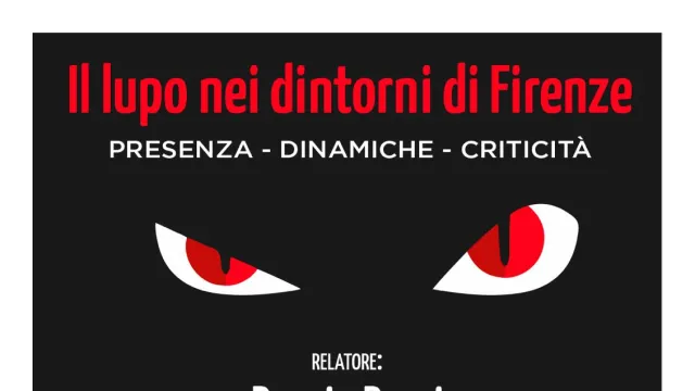 Locandina iniziativa Il Lupo nei dintorni di Firenze
