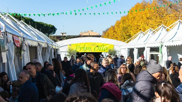 Immagine PrimOlio2024_4