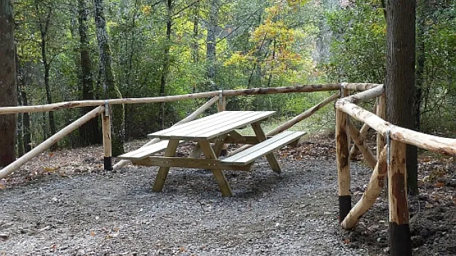 Immagine Parco di Mondeggi