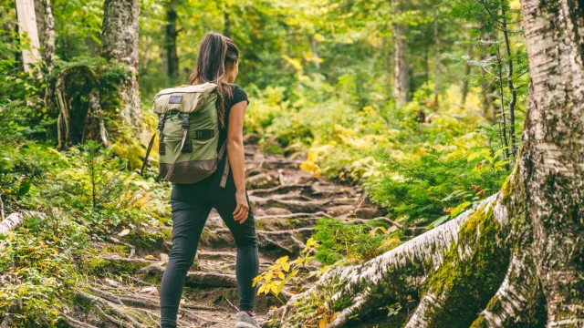 Immagine generica trekking