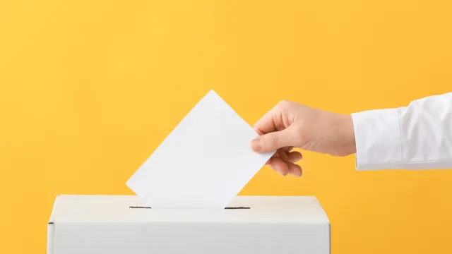 Immagine generica voto