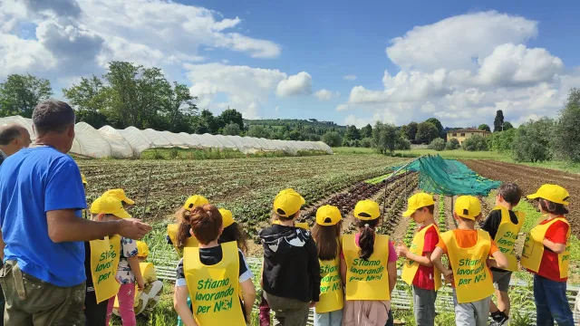 Foto di bambini scuola Rimaggio visita Olivart